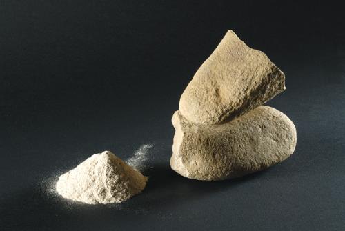 La Dieta mediterranea ? L’Homo sapiens la ‘seguiva’ già  30.000 anni fa
