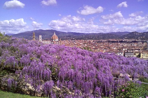 Laboratori gratuiti per bambini sotto il glicine di Villa Bardini