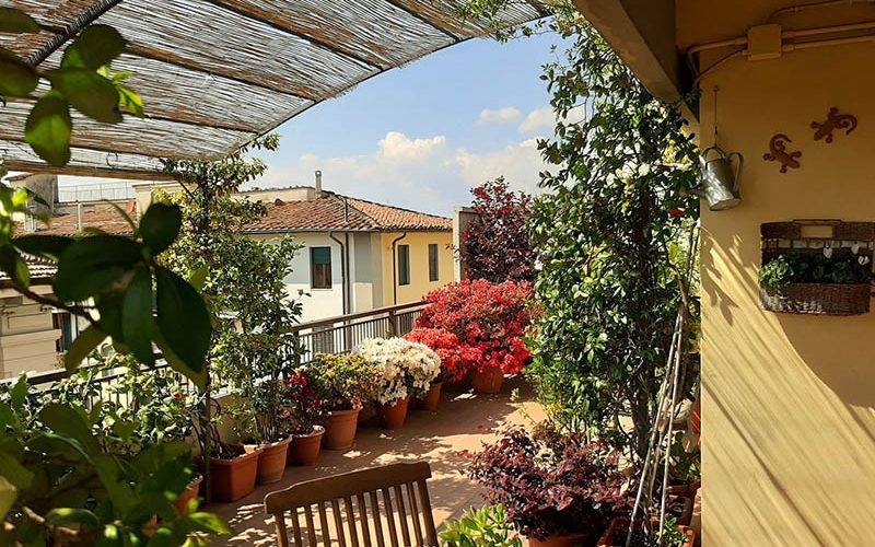 Premiati i balconi fioriti più belli di Firenze