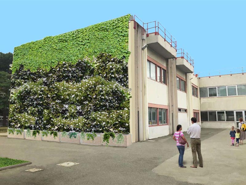Scuola: a Firenze arrivano le 'pareti verdi' - Fondazione CR Firenze