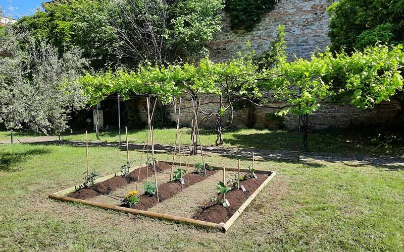 “Hortus Communis”, un nuovo progetto di orto-terapia a Montedomini