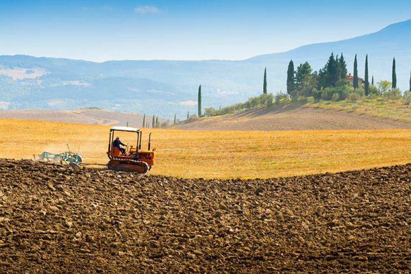 G20 dell’agricoltura, fra gli eventi collaterali laboratori per bambini e ragazzi a Villa Bardini