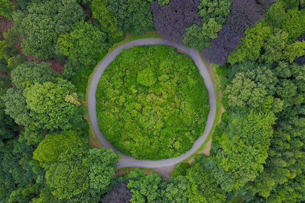 A Villa Bardini l’incontro: “Dalla BioIndustria nuova Energia per l’Economia e la Resilienza”