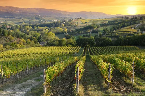 Tre borsisti trasferiscono innovazione alle aziende agricole