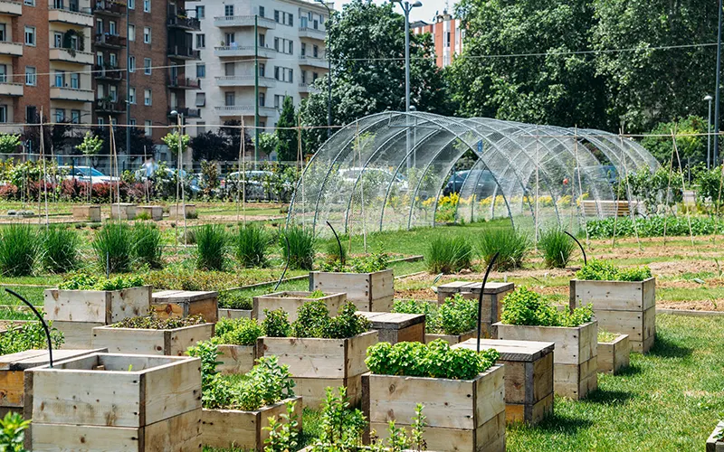 Primi orti urbani di comunità, già 150 candidature raccolte