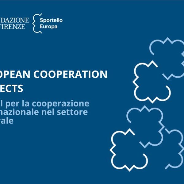 EUROPEAN COOPERATION PROJECTS