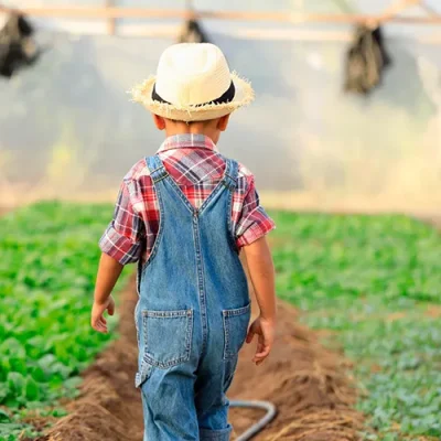 Le attività agricole e di allevamento del nuova fattoria