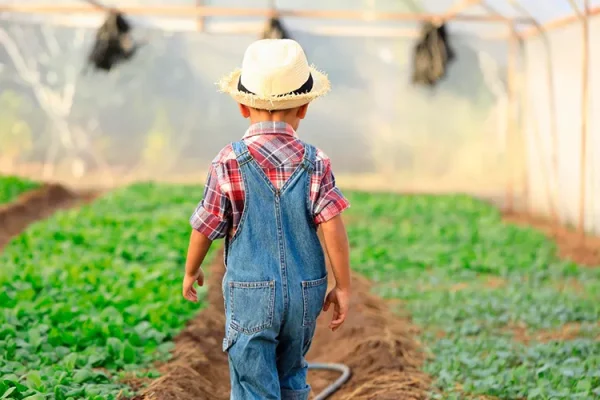 Le attività agricole e di allevamento del nuova fattoria