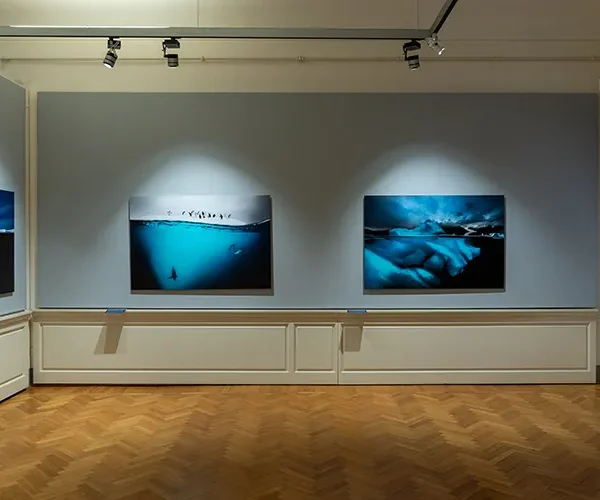 AntonioMulas-FCRFOceaniA7C00189_2