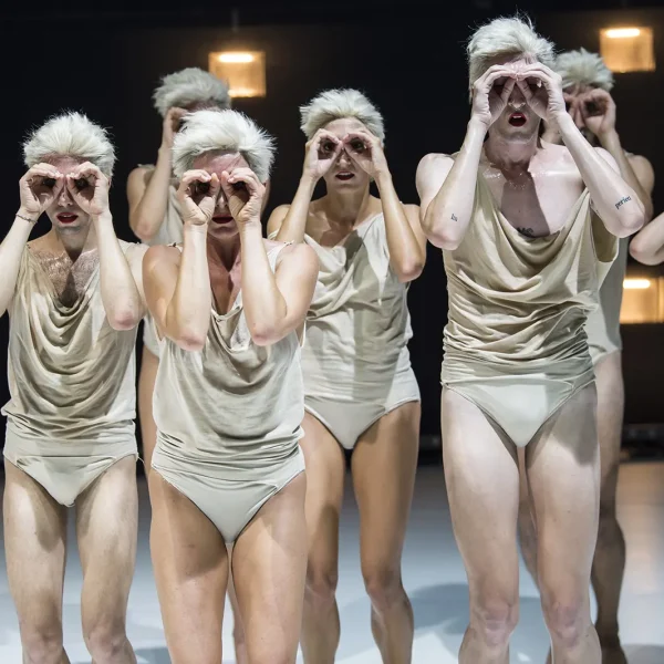 vrigilio_sieni_testata