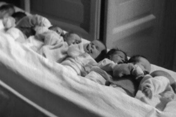 Il boom demografico del dopoguerra: Massimo Livi Bacci alla Fondazione Biblioteche