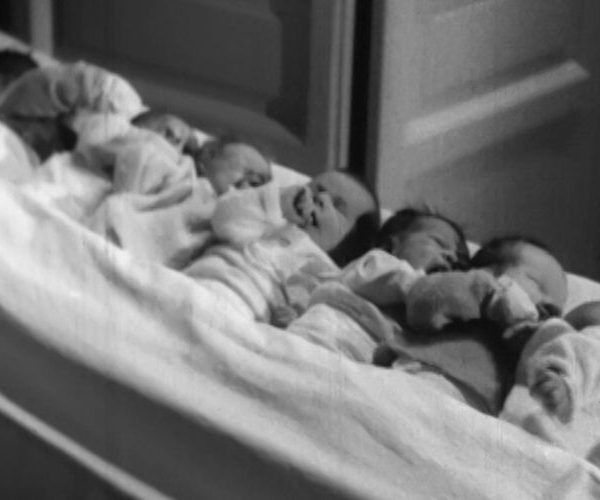 Foto sito – 800×500-6