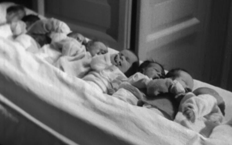 Il boom demografico del dopoguerra: Massimo Livi Bacci alla Fondazione Biblioteche