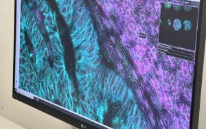Fondazione CR Firenze dona due tecnologie d’avanguardia per la ricerca sulle cellule