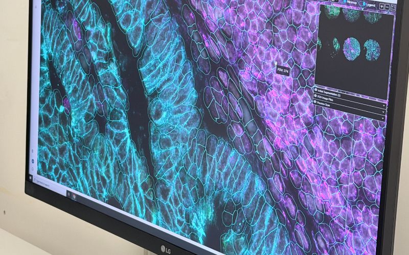 Fondazione CR Firenze dona due tecnologie d’avanguardia per la ricerca sulle cellule
