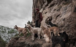 Il Casentino ospita dal 12 giugno al 6 settembre il Festival della Fotografia Italiana