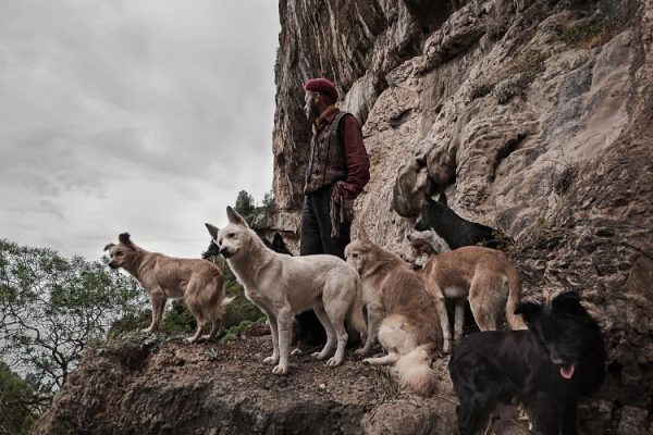 Festival della fotografia