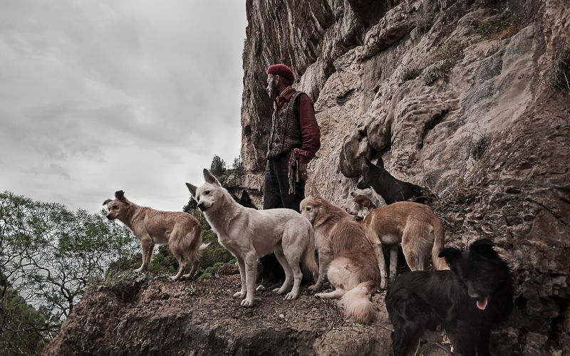 Festival della fotografia
