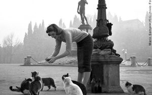 Visite guidate gratuite per le scuole alla mostra “Firenze ’50 ’60 ’70” a Villa Bardini