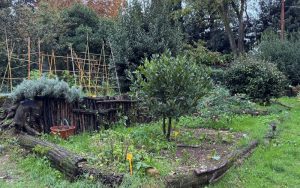 Spazi Verdi Attivi: 500 mila euro per rigenerare parchi e giardini 