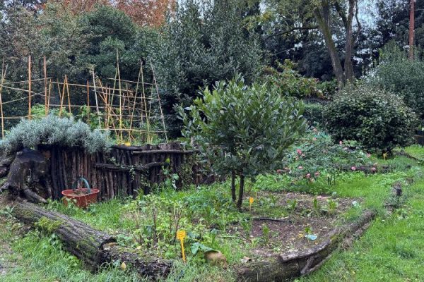 Spazi Verdi Attivi: 500 mila euro per rigenerare parchi e giardini 