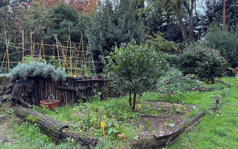 Spazi Verdi Attivi: 500 mila euro per rigenerare parchi e giardini 
